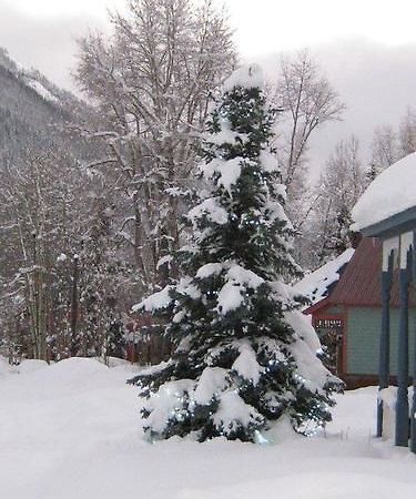 Blair Street Hostel Telluride Bagian luar foto