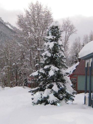 Blair Street Hostel Telluride Bagian luar foto